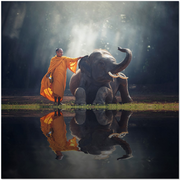 Canvas Minis _ Monk with Elephant - Azra's Voyage