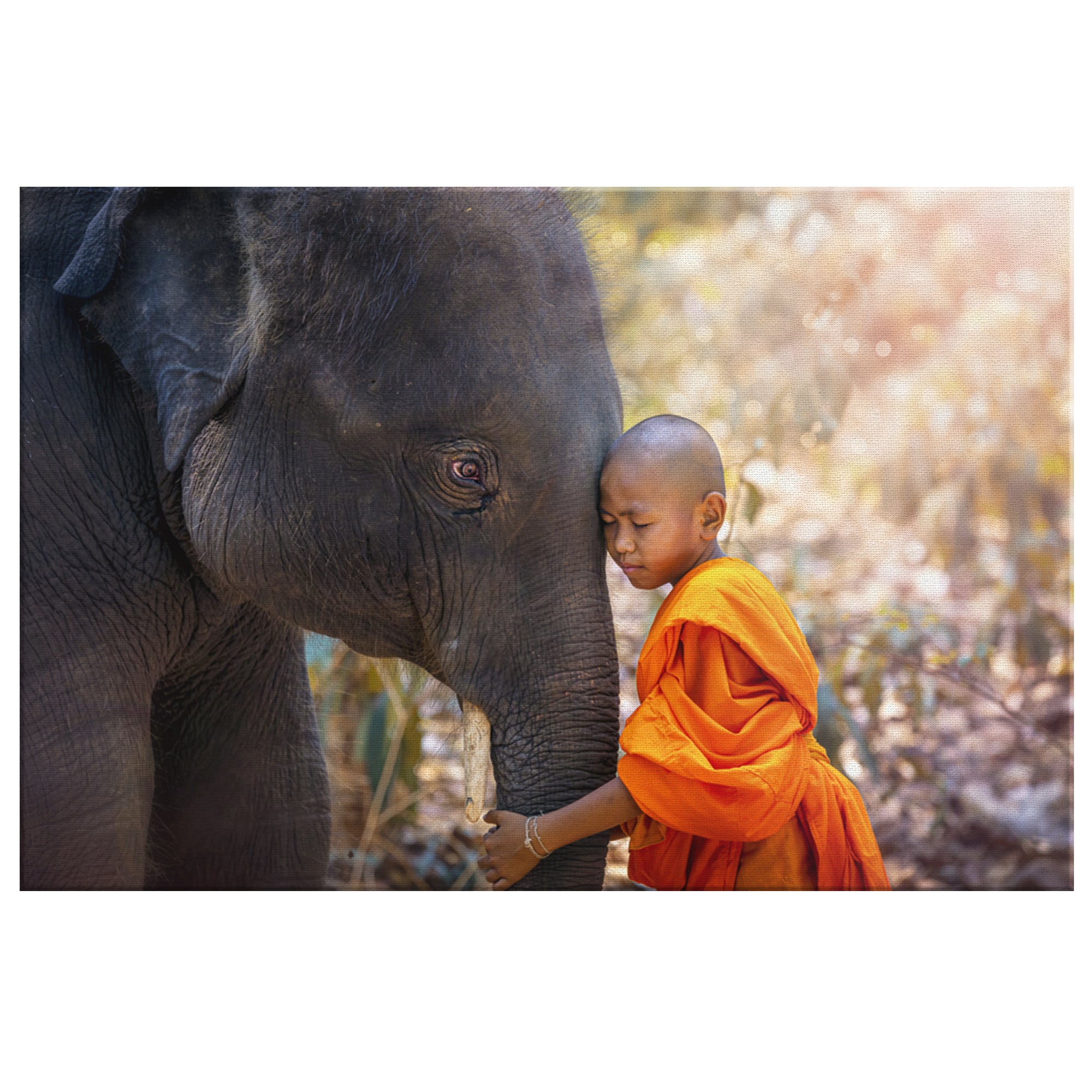 Buddha Wall Art  _Buddhist Child Monk With Elephant - Azra's Voyage